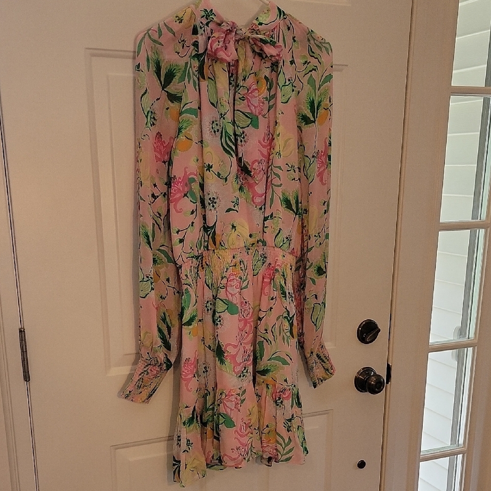 Lilly Pulitzer Floral Long Sleeve Dress - Pink and Green - Picture 5 of 6
